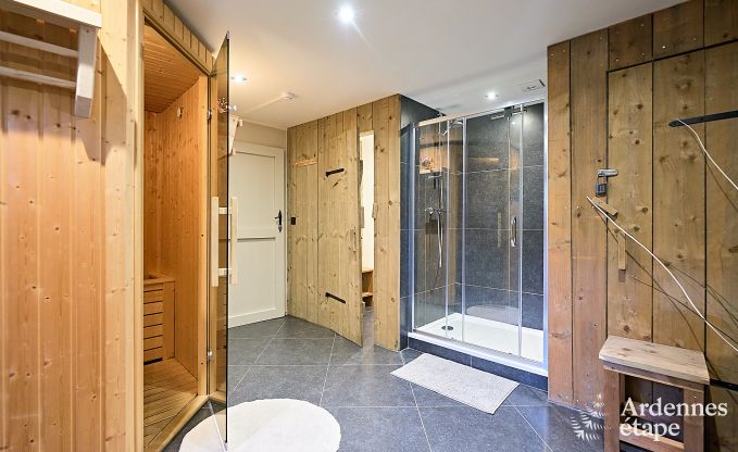 Wonderful holiday home in Onhaye with swimming pool, jacuzzi, sauna and games rooms for 14 people near Dinant