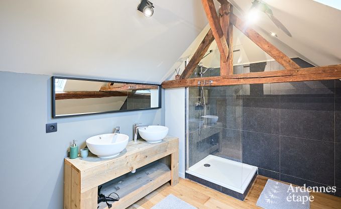 Wonderful holiday home in Onhaye with swimming pool, jacuzzi, sauna and games rooms for 14 people near Dinant