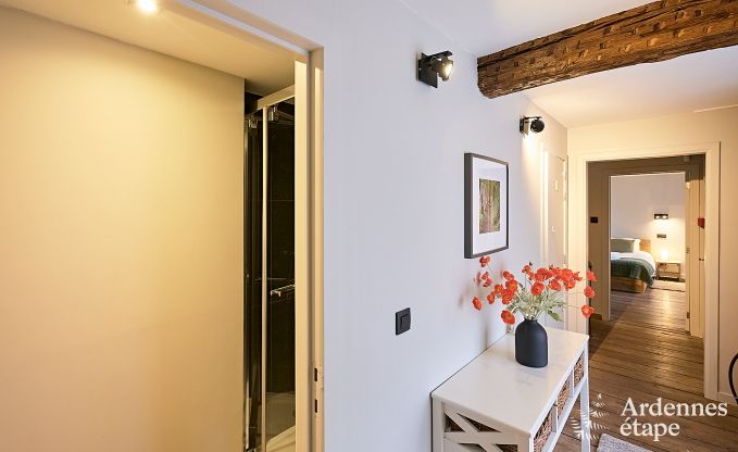 Wonderful holiday home in Onhaye with swimming pool, jacuzzi, sauna and games rooms for 14 people near Dinant