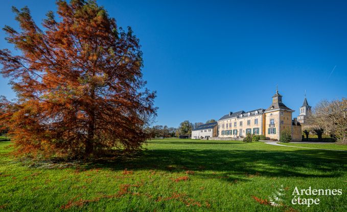 Luxury castle for 30 people in Ouffet with 14 bedrooms, 12 bathrooms, indoor pool, sauna and private garden