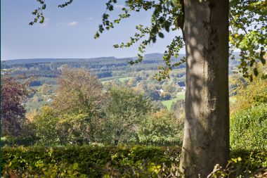 Holiday cottage in Ovifat for 36 persons in the Ardennes