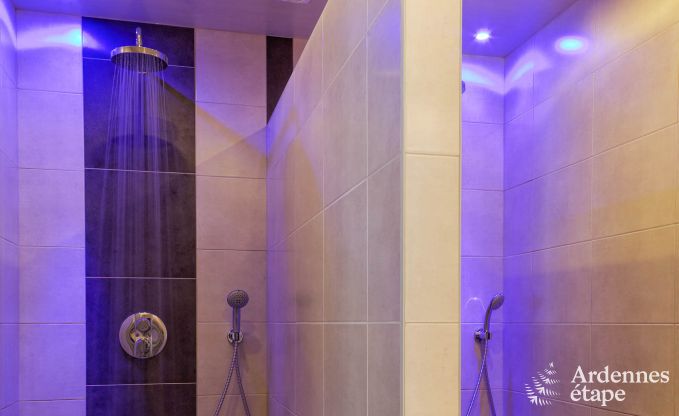 Luxury villa in Ovifat for 12/14 persons in the Ardennes