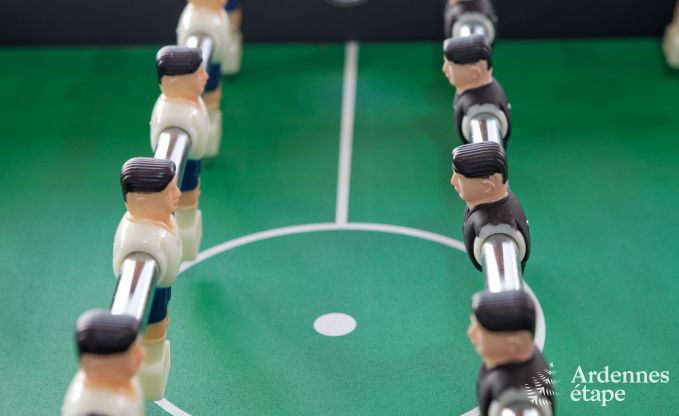 Luxury villa in Ovifat for 12/14 persons in the Ardennes