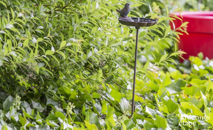 Holiday cottage in Ovifat for 6/8 persons in the Ardennes