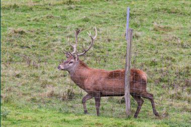 Apartment in Paliseul for 4/6 persons in the Ardennes
