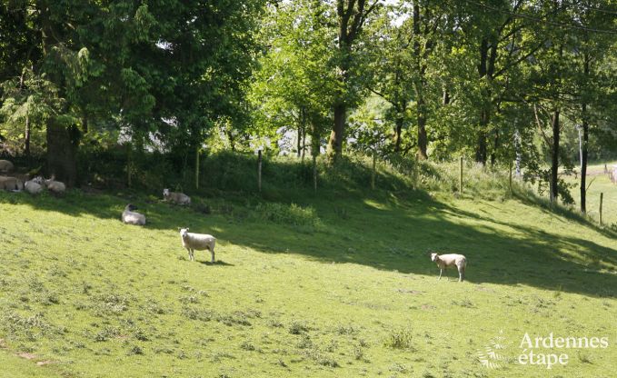 Holiday cottage in Paliseul for 4/5 persons in the Ardennes