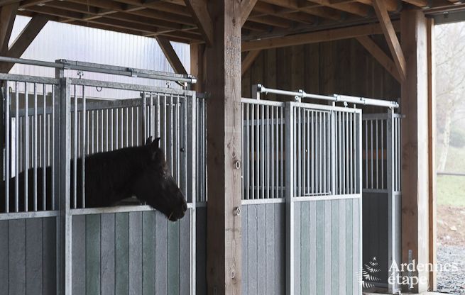 Holiday cottage in Paliseul for 4/5 persons in the Ardennes