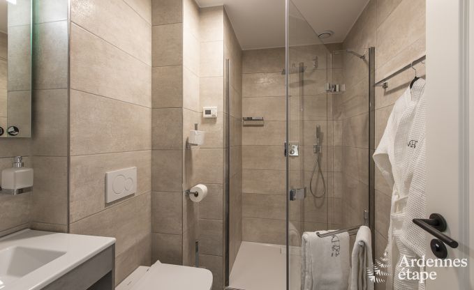 Holiday cottage in Paliseul for 10 persons in the Ardennes