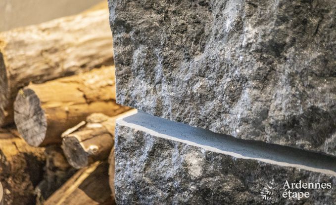 Holiday cottage in Paliseul for 10 persons in the Ardennes