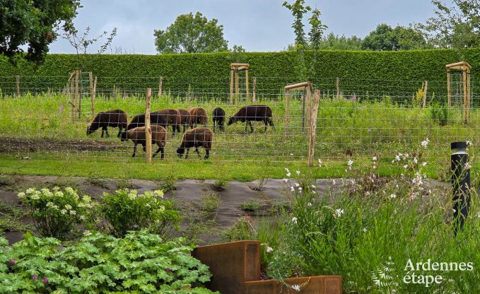 Holiday home for 9 people with sauna and garden in charming Our, Paliseul