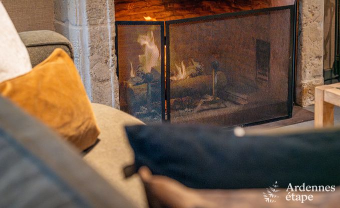 Holiday cottage in Paliseul for 12 persons in the Ardennes