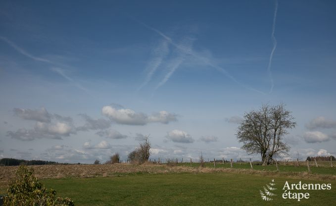 Luxurious holiday cottage in Paliseul with indoor pool, wellness and games for 28 persons in the Ardennes