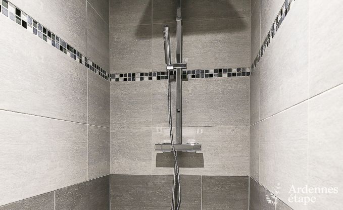 Luxurious holiday cottage in Paliseul with indoor pool, wellness and games for 28 persons in the Ardennes