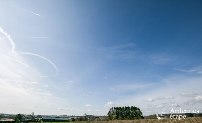 Luxurious holiday cottage in Paliseul with indoor pool, wellness and games for 28 persons in the Ardennes