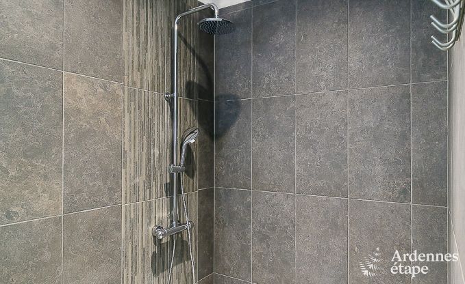 Luxurious holiday cottage in Paliseul with indoor pool, wellness and games for 28 persons in the Ardennes