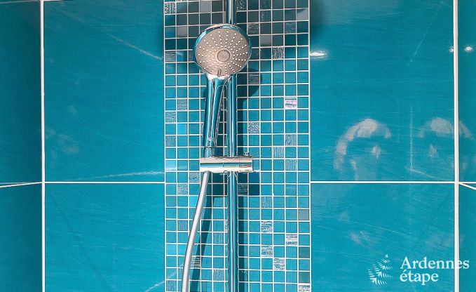 Luxurious holiday cottage in Paliseul with indoor pool, wellness and games for 28 persons in the Ardennes