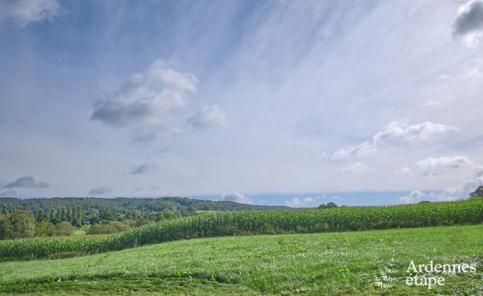 Charming cottage with panoramic view in Plombires, Ardennes