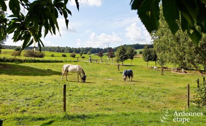 Enjoy your holiday at the farm close to Plombières in the Ardennes