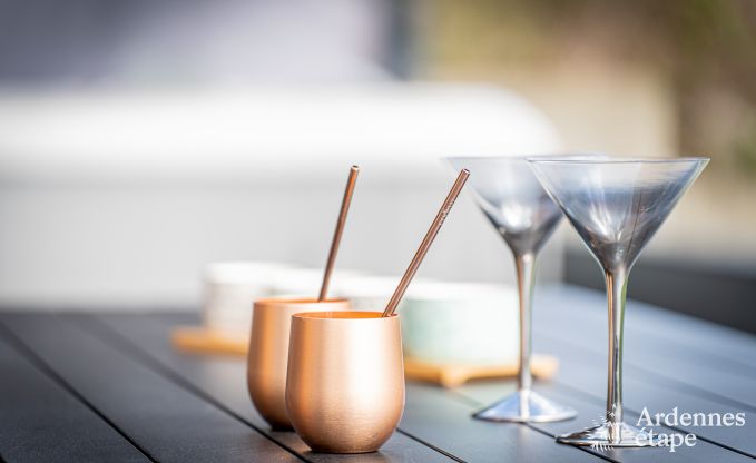 Luxury holiday home in Plombires: villa for 6 people with jacuzzi, 3 bedrooms and private garden