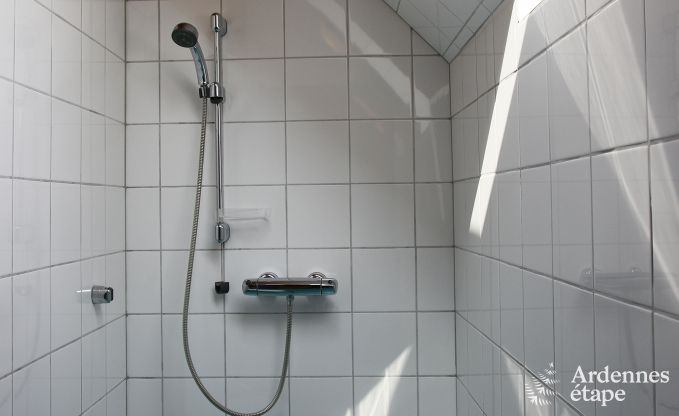 Holiday cottage in Plombi�res for 12 persons in the Ardennes