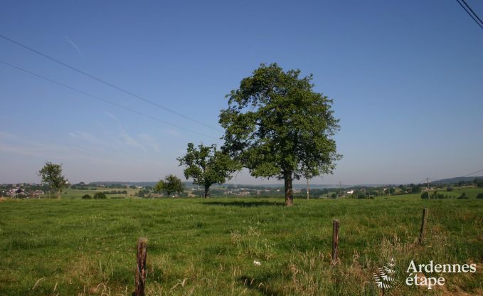 Holiday cottage in Plombi�res for 12 persons in the Ardennes