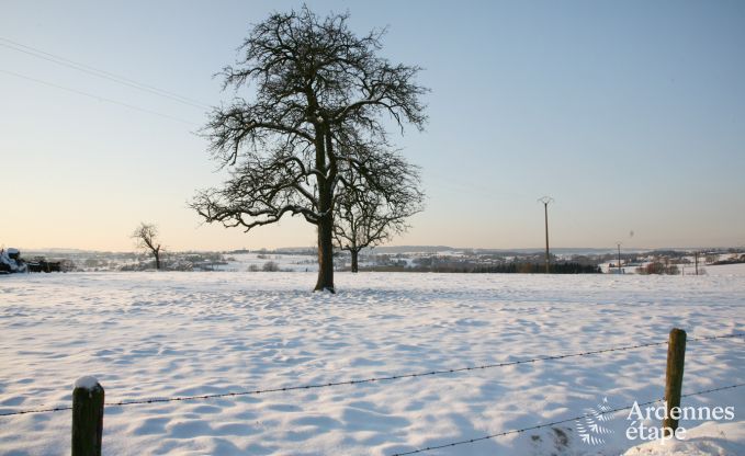 Holiday cottage in Plombi�res for 12 persons in the Ardennes