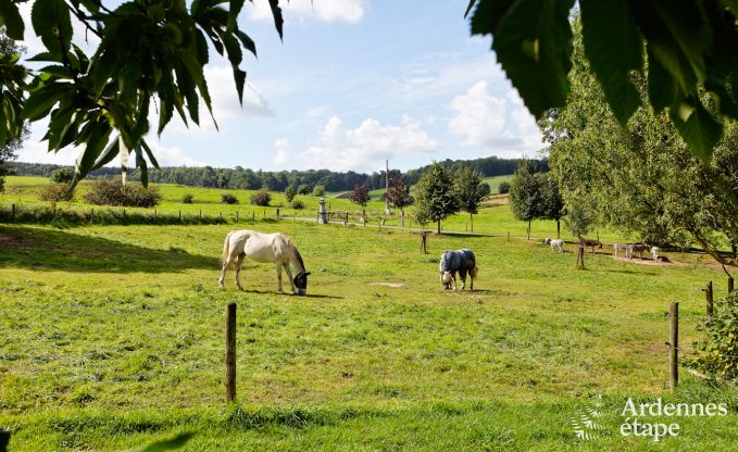 Holiday on a farm in Plombi�res for 4 persons in the Ardennes
