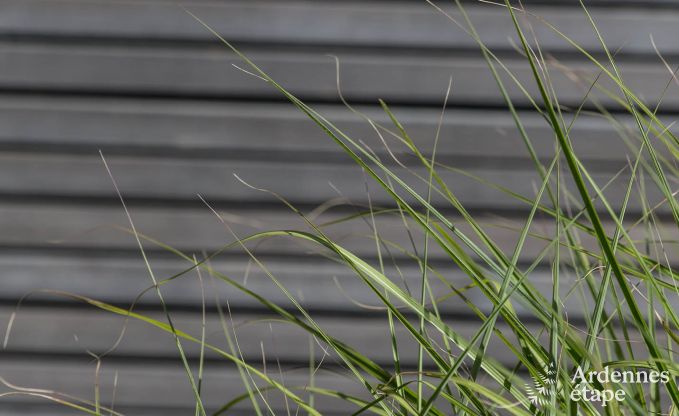 Holiday cottage in Porcheresse (Daverdisse) for 2 persons in the Ardennes