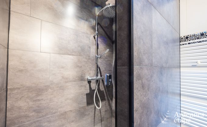 High-quality house with outdoor wellness in the heart of the Meuse Valley in Profondeville