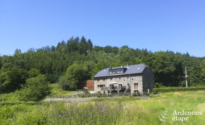 Beautiful holiday home for rent for 38 persons in Redu (Ardennes)