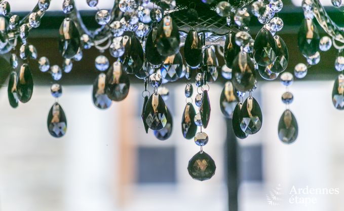 High-end villa in Redu, Ardennes, 9 people, outdoor pool, sauna, steam room, indoor and outdoor jacuzzi, private garden, complete equipment