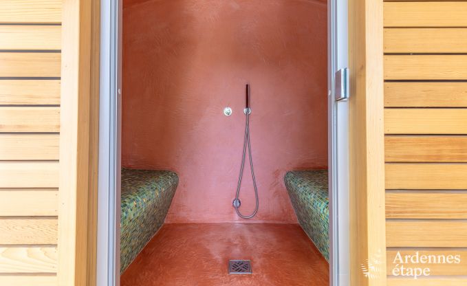 High-end villa in Redu, Ardennes, 9 people, outdoor pool, sauna, steam room, indoor and outdoor jacuzzi, private garden, complete equipment