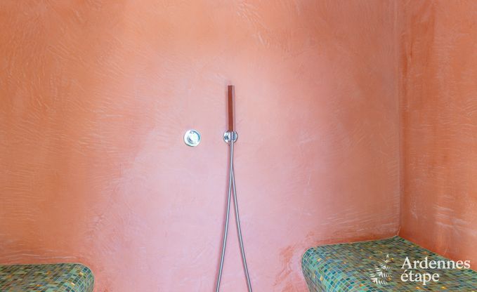 High-end villa in Redu, Ardennes, 9 people, outdoor pool, sauna, steam room, indoor and outdoor jacuzzi, private garden, complete equipment