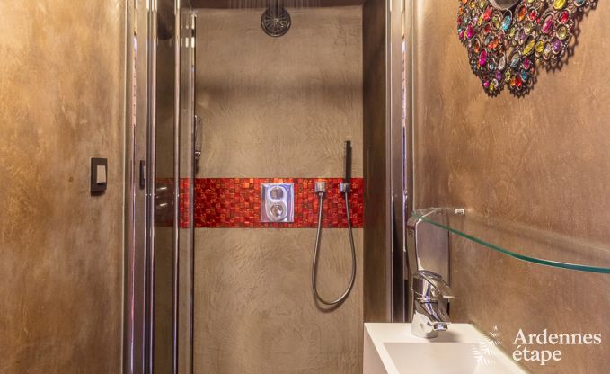 High-end villa in Redu, Ardennes, 9 people, outdoor pool, sauna, steam room, indoor and outdoor jacuzzi, private garden, complete equipment