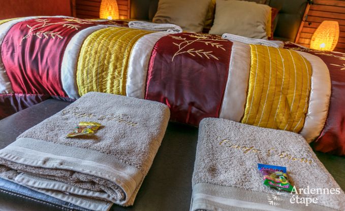 High-end villa in Redu, Ardennes, 9 people, outdoor pool, sauna, steam room, indoor and outdoor jacuzzi, private garden, complete equipment