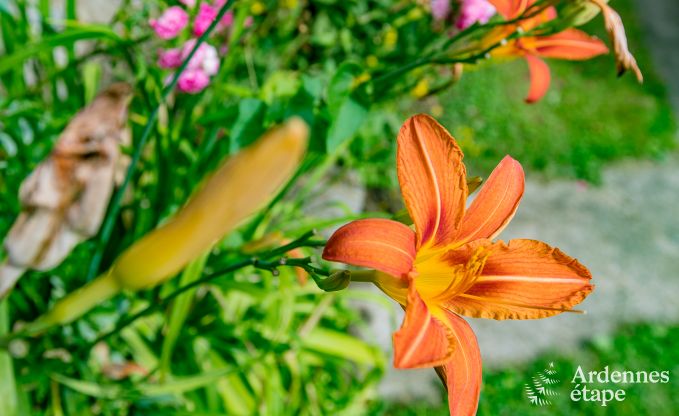 Holiday home in Rendeux, Ardennes, 6 people, 2 bedrooms, private garden, baby equipment, terrace with barbecue