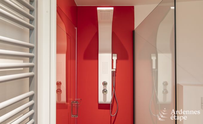 Luxury villa in Rendeux for 8 persons in the Ardennes