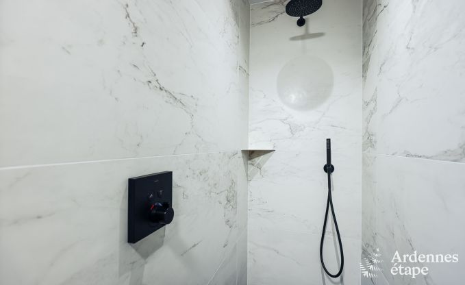 Holiday home with swimming pool in Rendeux, Ardennes