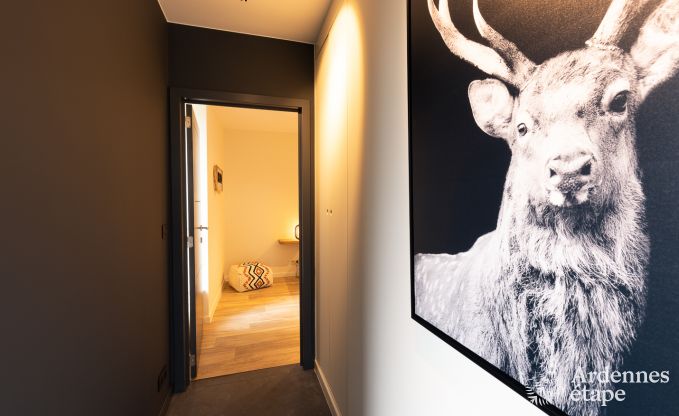 Holiday home with swimming pool in Rendeux, Ardennes