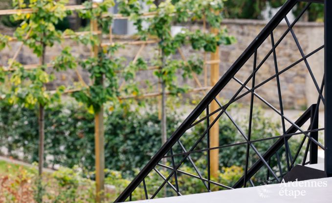 Holiday home with swimming pool in Rendeux, Ardennes