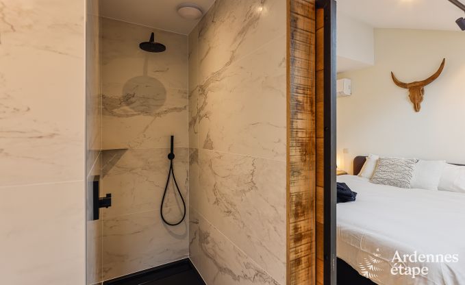 Holiday home with swimming pool in Rendeux, Ardennes