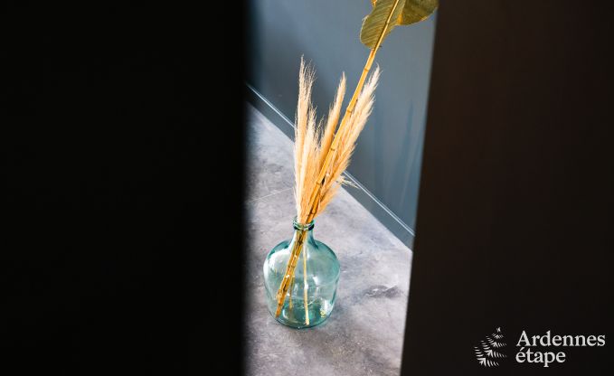 Holiday home with swimming pool in Rendeux, Ardennes