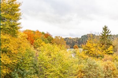 Apartment in Robertville for 4 persons in the Ardennes