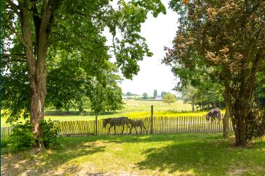 Holiday cottage in Rochefort for 15 persons in the Ardennes