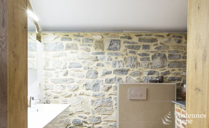 Holiday cottage in Rochefort for 21 persons in the Ardennes