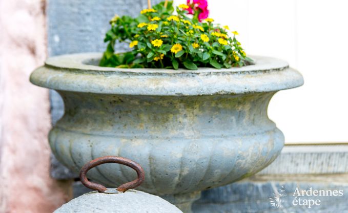 Holiday cottage in Rochefort for 21 persons in the Ardennes