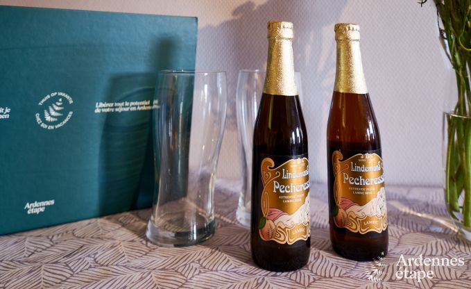 Apartment in Rochefort for 4/6 persons in the Ardennes