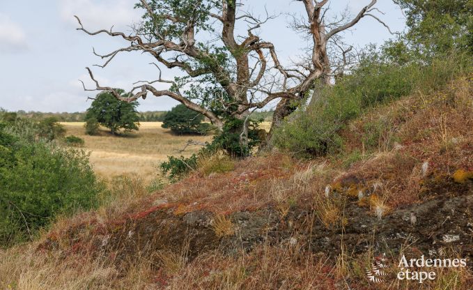 Holiday cottage in Rochefort for 6 persons in the Ardennes
