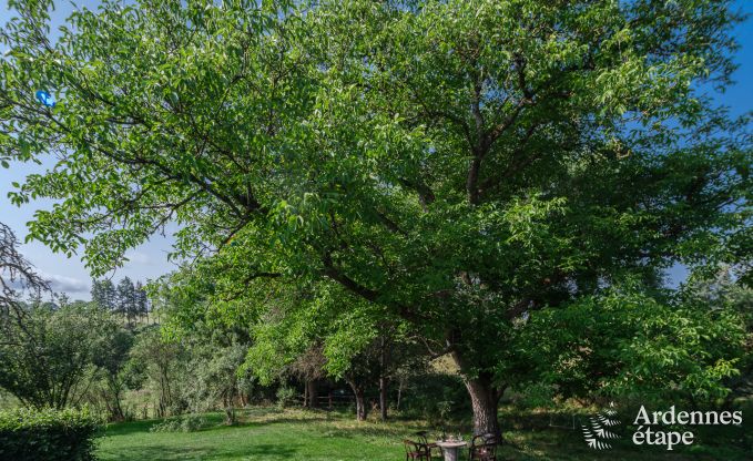 Holiday cottage in Rochefort for 6 persons in the Ardennes