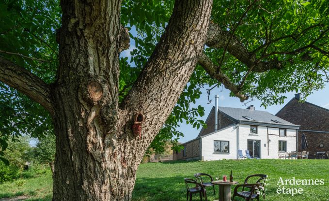 Holiday cottage in Rochefort for 6 persons in the Ardennes